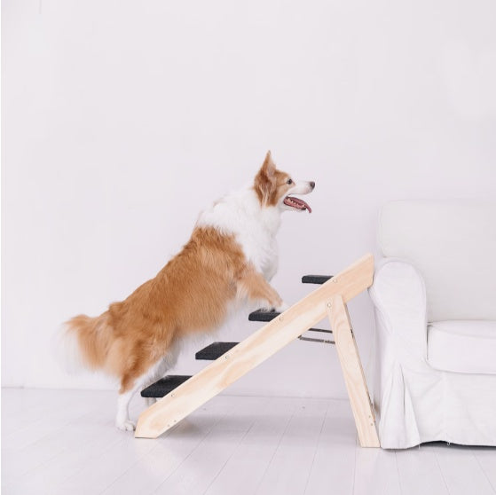 ca9ff3d6d725cf1a4211b809a13df2aa