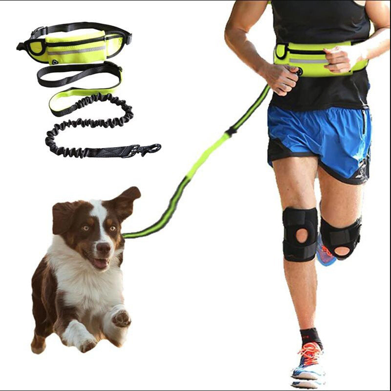 55cc0ae2c30887eaf0ea1faef1566e34